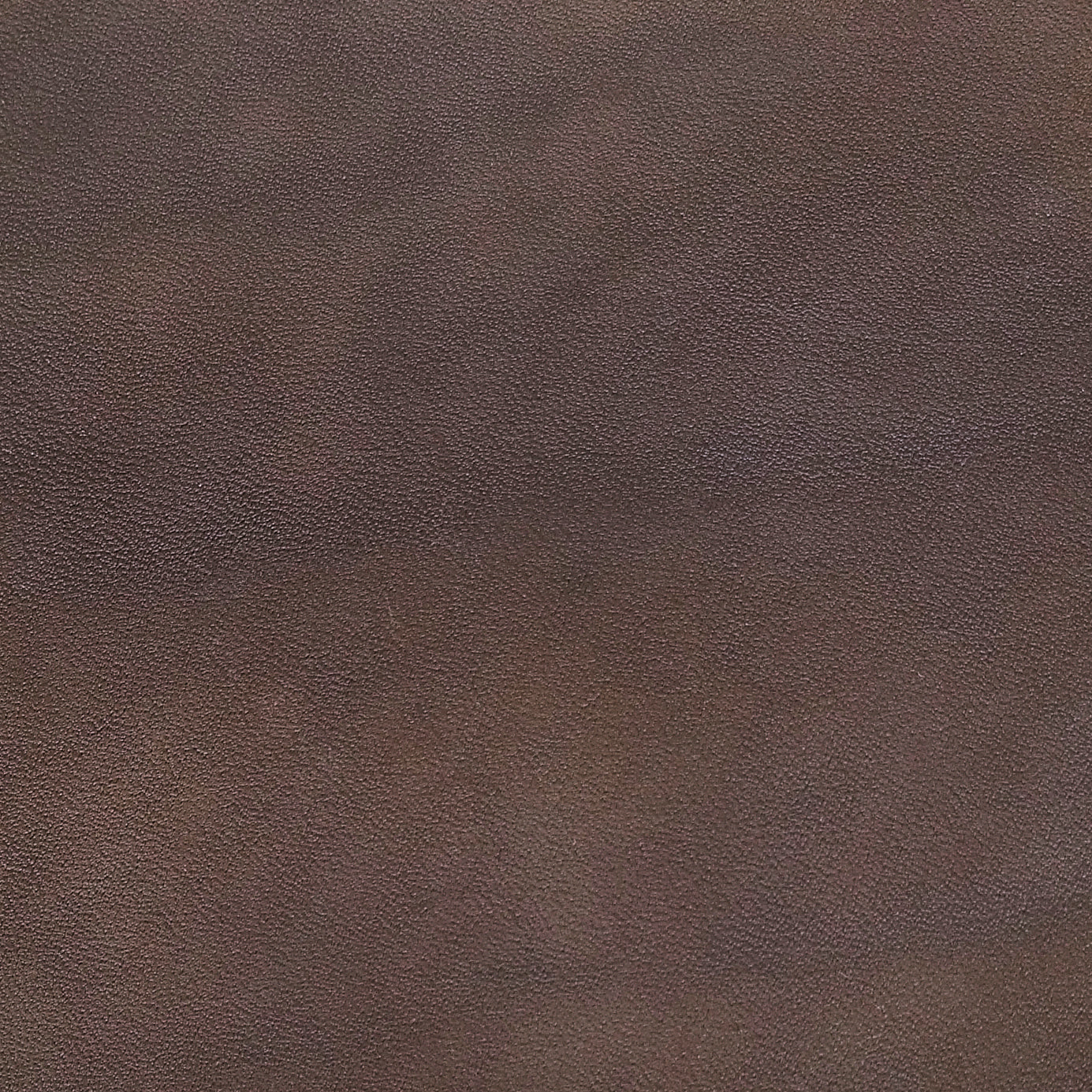 Home Edition 10- Leather Diana Stools troffle