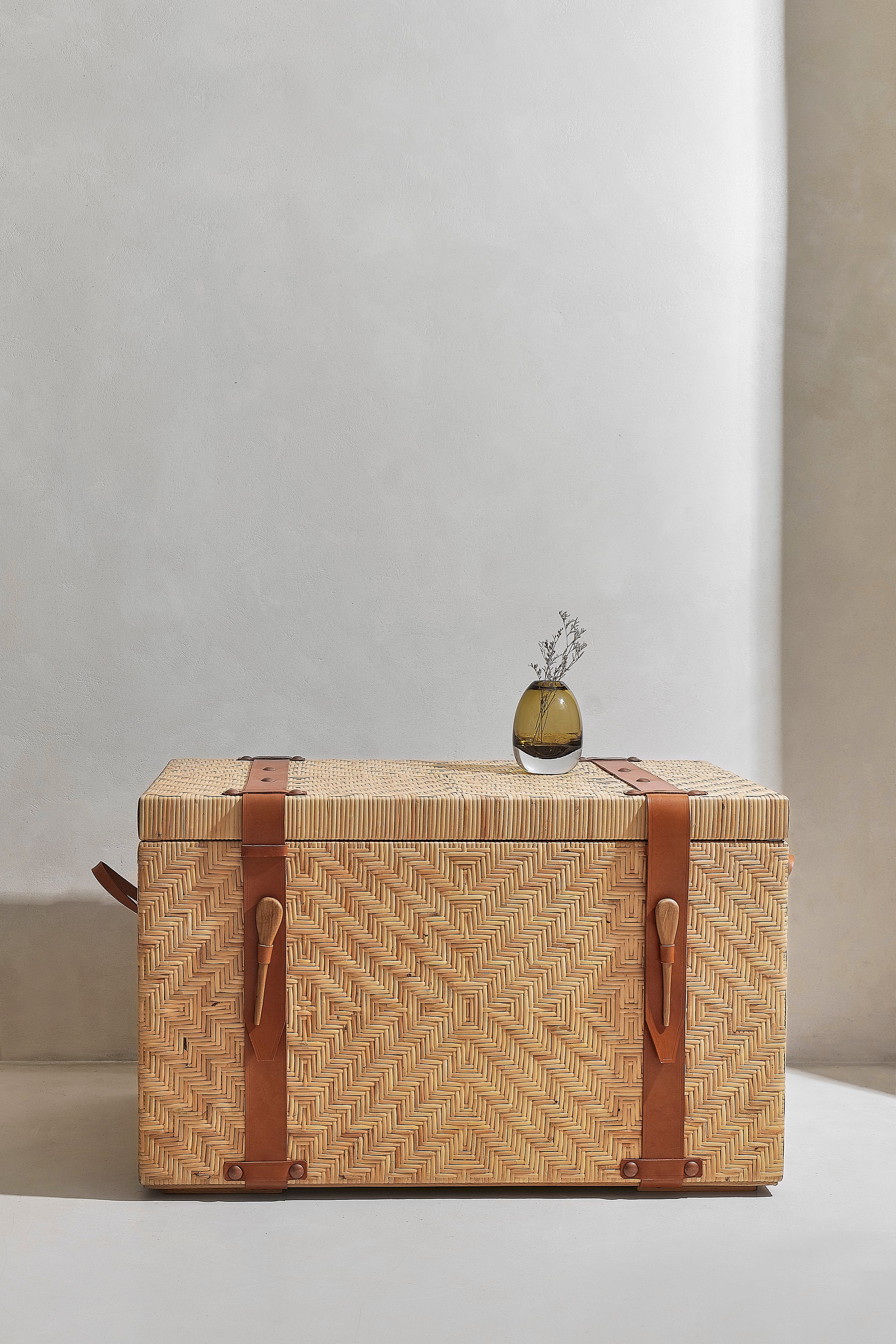 Home Edition 12- Rattan box with camel leather straps troffle