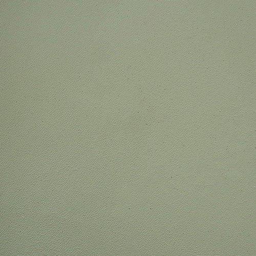 Opulent Olive leather swatch